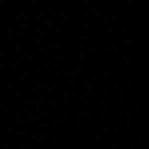 Meet your Posher, Mer